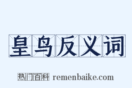 皇鸟反义词是什么意思的图片